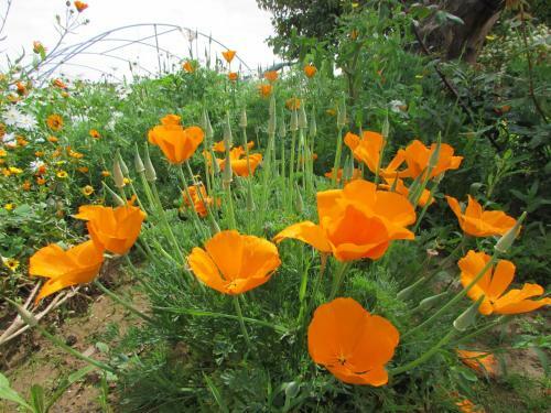 Agroturismo Quinta Sobral Prestige - Little Rustic
