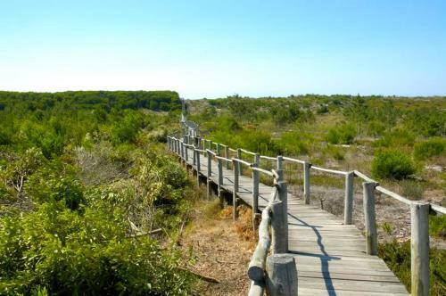 Casa Dos Amigos - A Luxury Home In The Nature