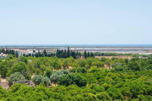 Apartamento Flor De Sal Tavira