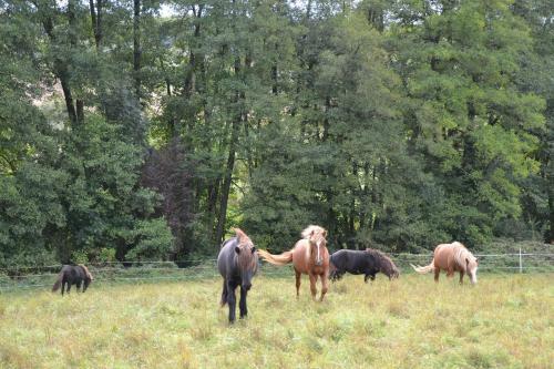 Safaritent At Camping Walsheim