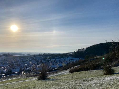 Atelier De Pfalz-loftstyl Mit Pfalzblick