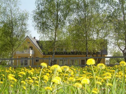 Apartamento Elisabethhills