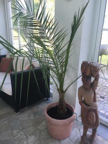 Apartamento Elisabethhills