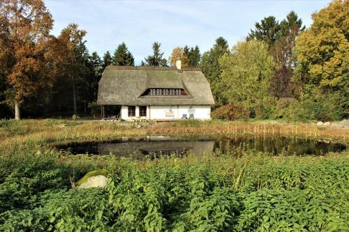 Ruhe Unter Reet - Haus Mit Sauna & Kamin Im Gr�nen