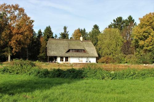 Ruhe Unter Reet - Haus Mit Sauna & Kamin Im Gr�nen