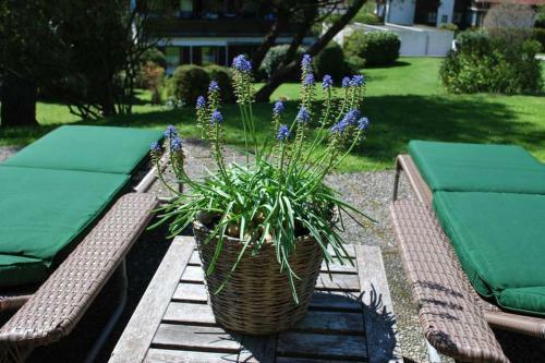 Apartamento Sonniges Appartement Am Tegernsee