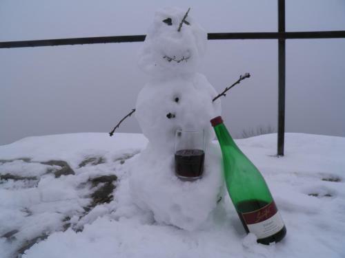 Apartamento Weingut-ferienhof Sch�fer