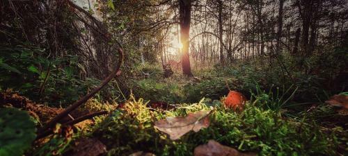 Apartamento Ferienwohnung Am Goldberger See