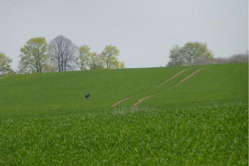 Apartamento Ferienhaus Burmeister