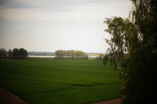 Apartamento Ferienwohnung Ilsebill