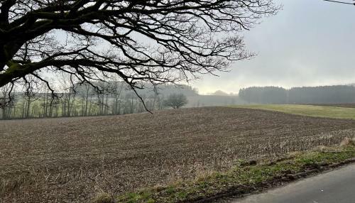 Kleine Eifelperle G�nnersdorf