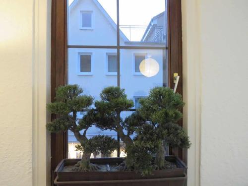 Hostal L8 Street Monteurwohnung - Lange Stra�e 36