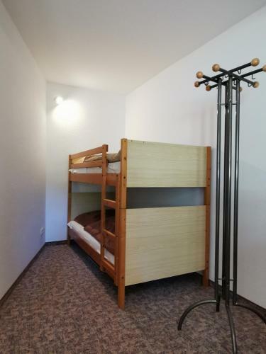 Apartamento Ferienwohnung "am Saalehaken"
