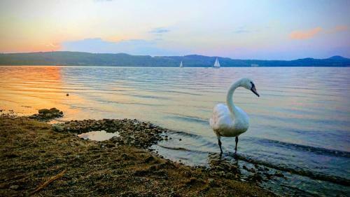 Apartamento Ferienzimmer Am Berzdorfer See G�rlitz Ot Tauchritz