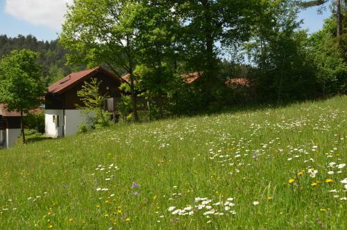 Apartamento Ferienwohnung Wildgatter