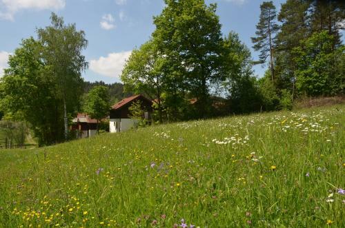 Apartamento Ferienwohnung Wildgatter