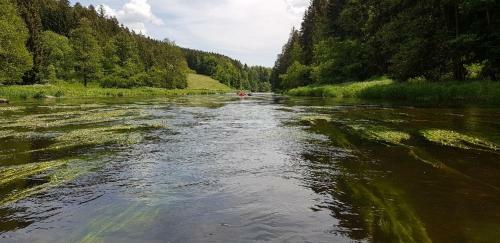 Apartamento Ferienwohnung Wildgatter