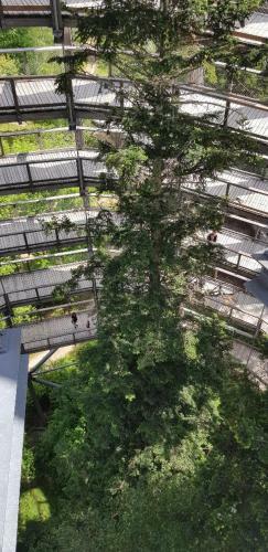Apartamento Ferienwohnung Wildgatter