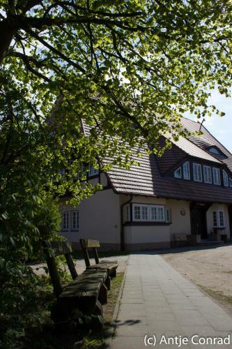 Gr�ne Wiek Wabenhausherberge Beckerwitz