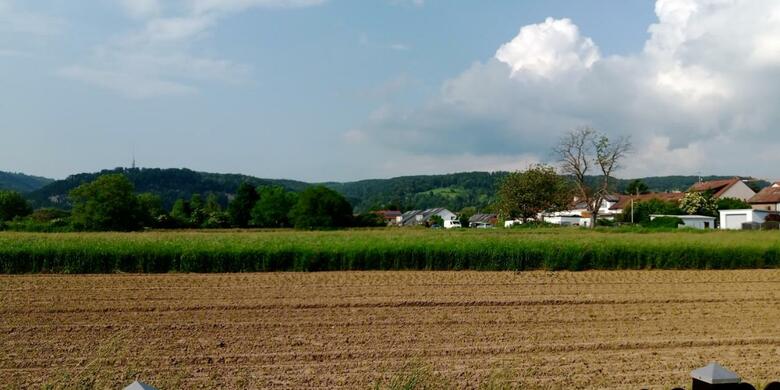Apartamento Ferienwohnung In Grenzach