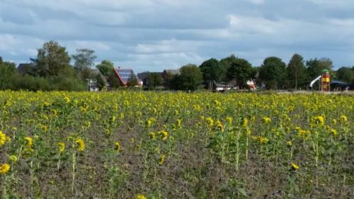 Apartamento Ferienwohnung Hafenliebe-greetsiel