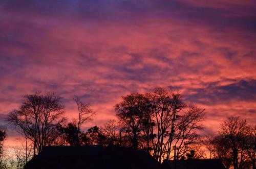 Bed & Breakfast Domaine De La Castagn�re