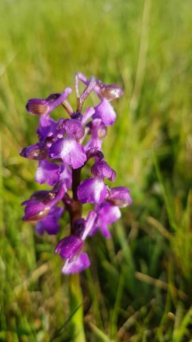 La Petite Maison Dans Le Quercy