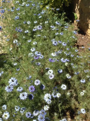 Les G�tes P�rard