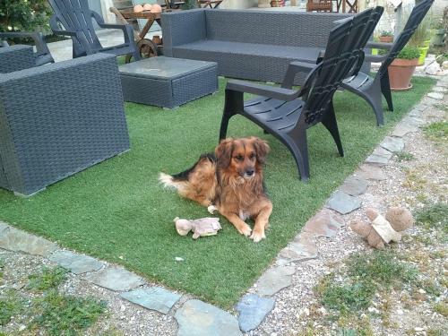 Bed & Breakfast Le Clos Martial