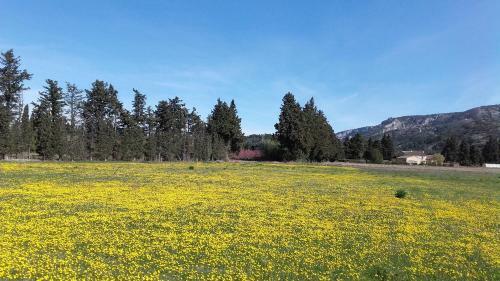Hostal Aubade En Luberon