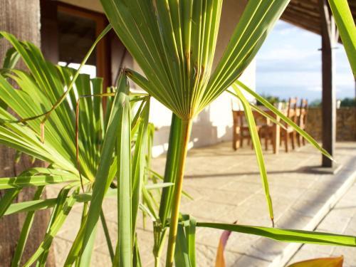 Bed & Breakfast Ancienne Ecole