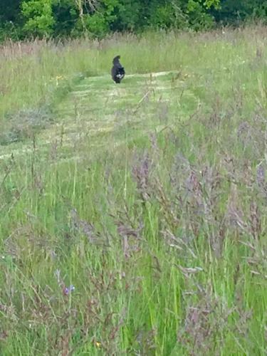 Bed & Breakfast Le Bouyssou