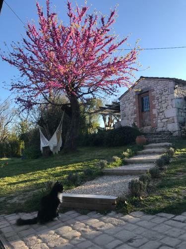 Bed & Breakfast Le Bouyssou