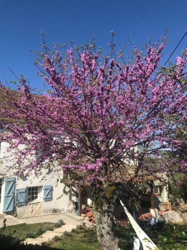 Bed & Breakfast Le Bouyssou