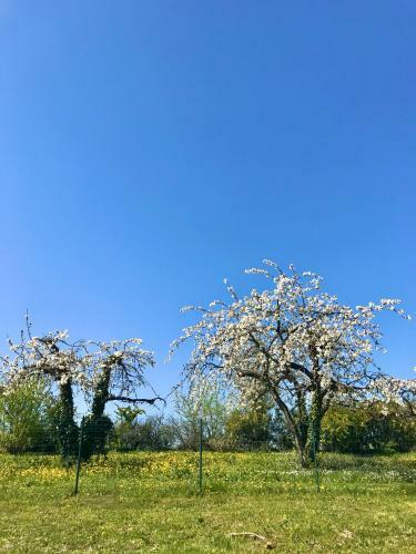 Bed & Breakfast Le Bouyssou