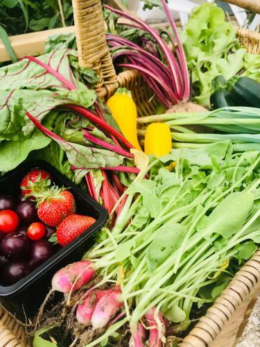 Bed & Breakfast Le Bouyssou