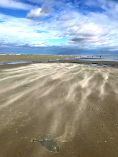 Villa Marcel 150 M Plage Baie De Somme