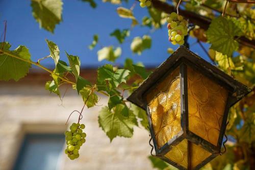 Ch�teau Du Raysse