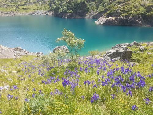 Apartamento Le Lac Bleu - Chaleureux - Calme - Emplacement Parfait