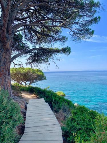 D�couvrez La Villa ��the View��