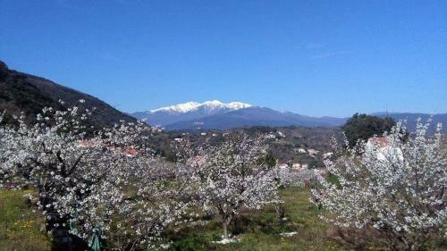Vacances Et Weekends A Ceret