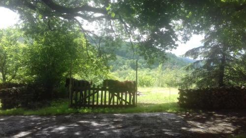Hostal Chambres � La Ferme De Falgas