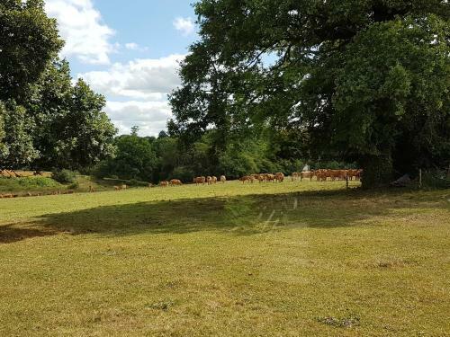 Bed & Breakfast La Thibaudiere Tilleul