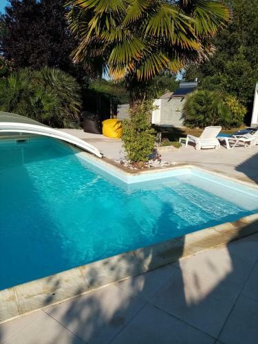 L'eden Naturiste �cureuil