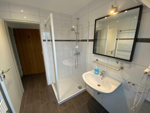 Harzidyll Living Apartements