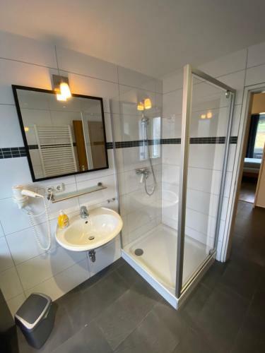 Harzidyll Living Apartements
