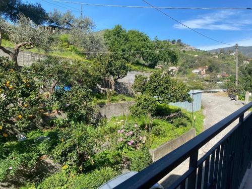 Apartamento Casa Di Lucia