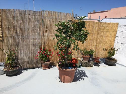 Bed & Breakfast Le Stanze Di Cort�s