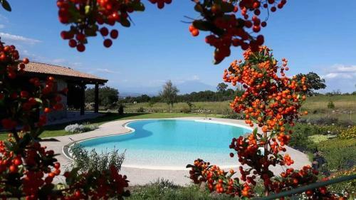 Tenuta Sor�a - Villa Privata Con Piscina Esclusiva