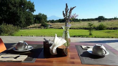 Tenuta Sor�a - Villa Privata Con Piscina Esclusiva